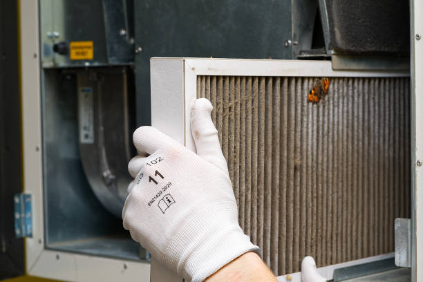Best Professional Duct Cleaning Services  in Shady Hills, FL