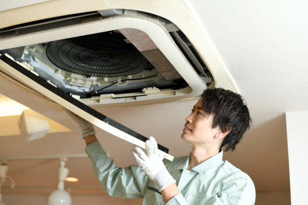 Air Duct Mold Removal in Shady Hills, FL