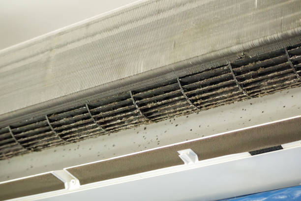 Best HVAC Air Duct Cleaning  in Shady Hills, FL