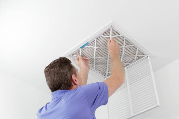 Best Local Air Duct Cleaning Services  in Shady Hills, FL